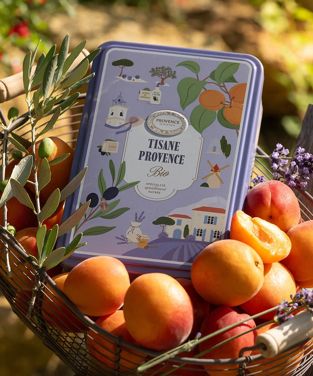 3554740402596-ambiance_TRAITE