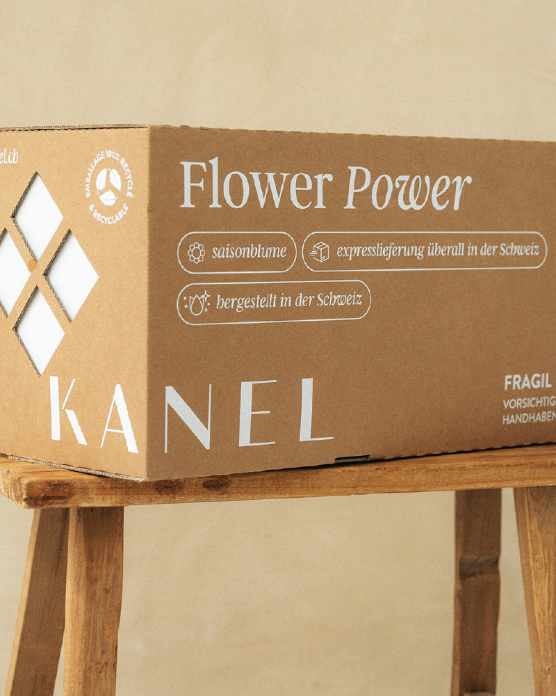 vignette-caroussel_kanel-portfolio